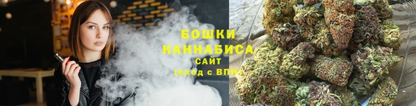 ешки Гусь-Хрустальный
