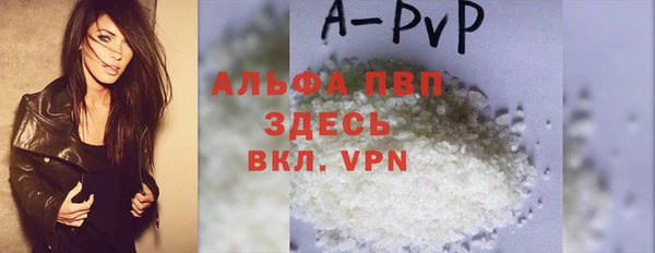 прущие грибы Ахтубинск