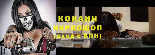 дживик Аша
