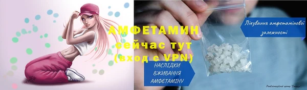 дживик Аша