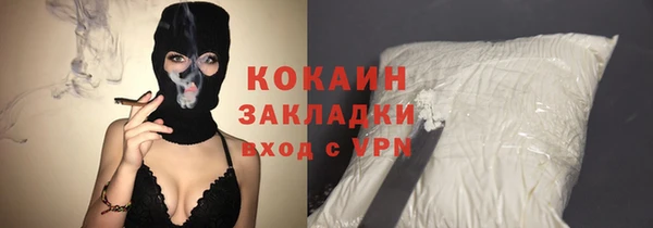 гидра Гусиноозёрск