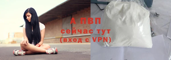 гидра Гусиноозёрск