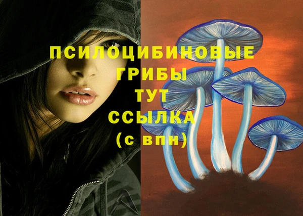 дживик Аша