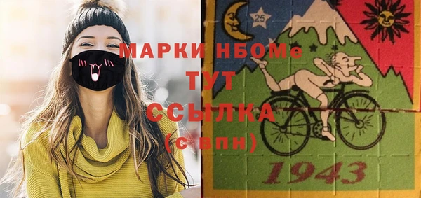 дживик Аша