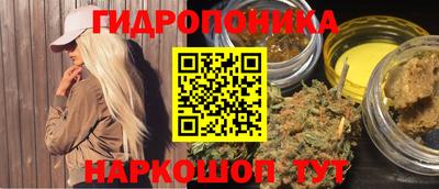 гидра Будённовск