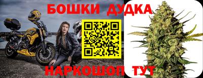 гидра Будённовск