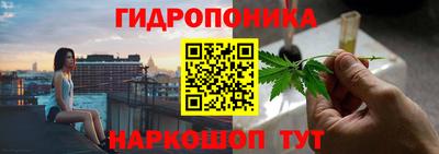 мяу мяу мука Бузулук