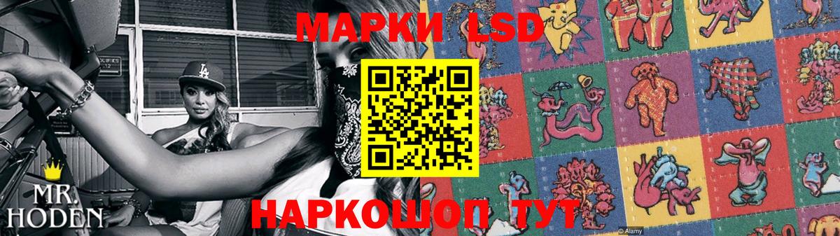 MEGA как войти  Лсд 25 экстази  LSD-25 экстази кислота  Вход с VPN  Лсд 25 экстази ecstasy  Елизово 