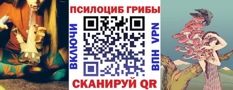 Псилоцибиновые грибы GOLDEN TEACHER  купить   Елизово 