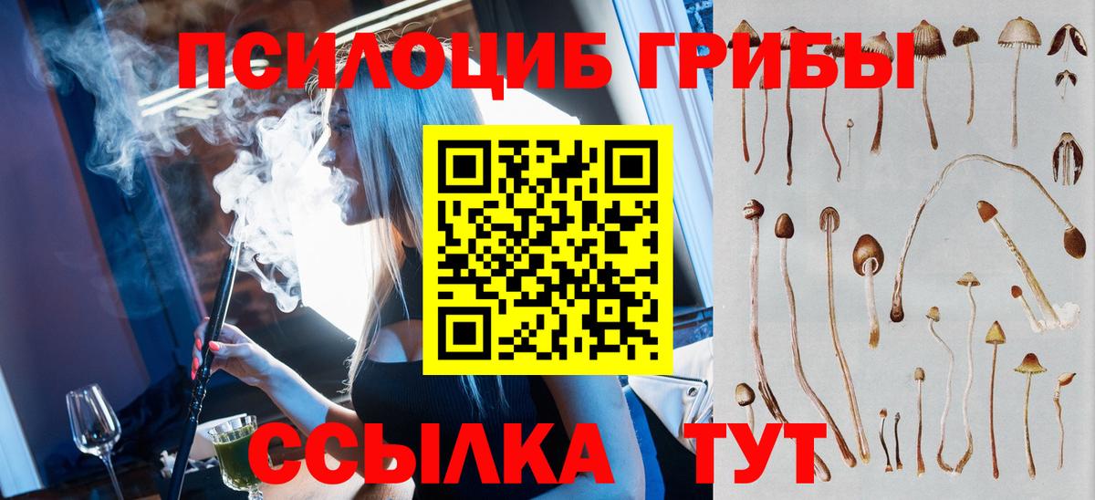 Елизово  Галлюциногенные грибы Cubensis  Вход с VPN  Псилоцибиновые грибы Cubensis 